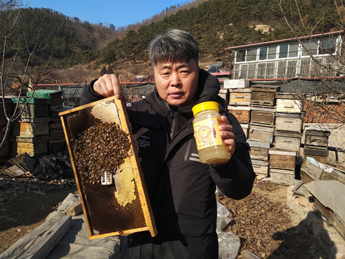 허동춘 벌통 600여 통, 해마다 1만여리 이동하며 숙성 꿀을 생산