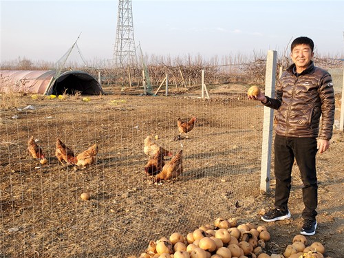 산둥성 첫 조선족 배 농장주 탄생