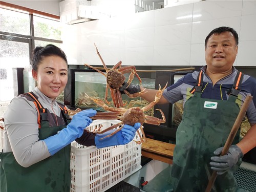 32년간 송이버섯과 대게장사를 해온 오명근 부부